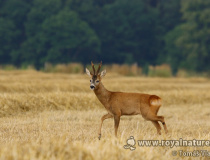 8. Foto měsíce srpna 2019