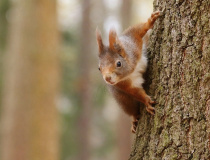 Foto měsíce listopadu 2025