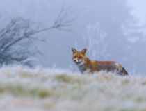 Foto měsíce ledna 2026