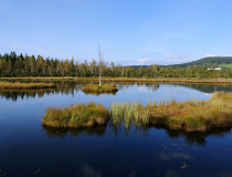 Podzim na Chalupské slati