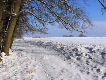 36.Cesta sněhem zavátá