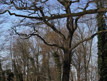 46.Mrazivý březnový den