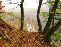 62.Barvy podzimu