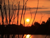 63.Ráno u rybníka