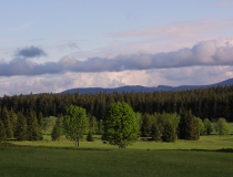 Podvečerní Šumava