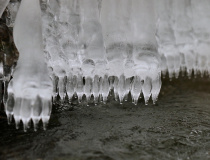 Ledové ozdoby od řeky I.